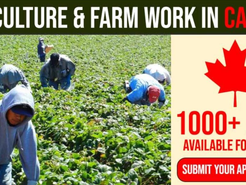 Farm worker jobs in Canada 2022