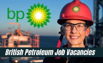 BP Petroleum Job Vacancies 2024