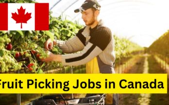 Fruit Picking Jobs in Canada with Visa Sponsorship